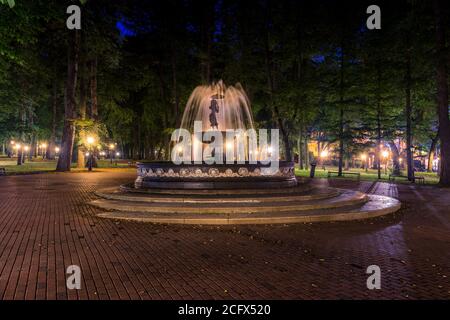 A fountain with blurred streams of water in a night park illuminated by ...