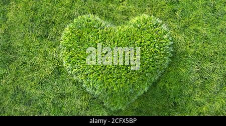 green grass in heart shape concept of environment and sustainability Stock Photo