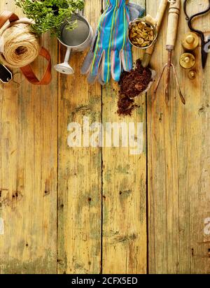 Gardening tools on wood with copy space Stock Photo