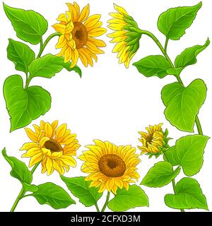 sunflower vector frame Stock Vector