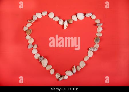 Heart-shaped seashells lie on a pink background. Copy spaes Stock Photo