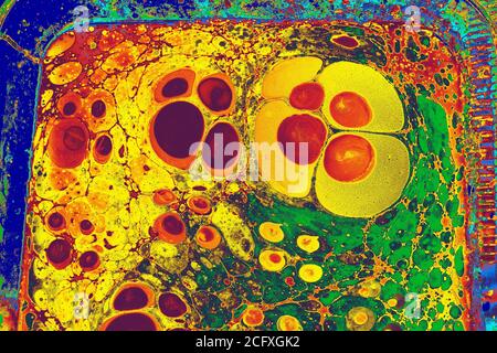 Abstract marbling pattern for fabric,  design.  marbling background texture Stock Photo