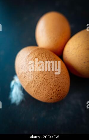 3 home grown hen eggs with feather Stock Photo