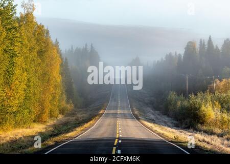 Highway in beautiful autumn forest in rural Finland Stock Photo