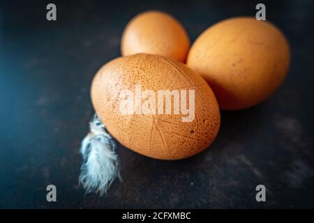 3 home grown hen eggs with feather Stock Photo