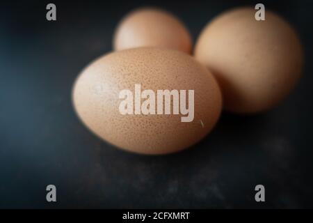 3 chicken fresh eggs laid at home farm Stock Photo