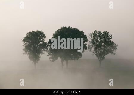geography / travel, Germany, Bavaria, Grossweil, autumnal mist, Grossweil, Kochelseemoos, Werdenfelser, Additional-Rights-Clearance-Info-Not-Available Stock Photo