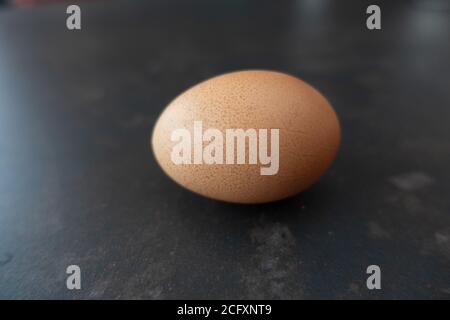 1 home reared hen egg on plain background Stock Photo