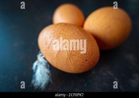 3 home grown hen eggs with feather Stock Photo
