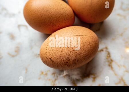 3 chicken fresh eggs laid at home farm Stock Photo