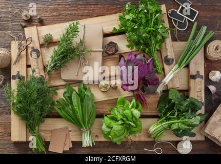 Herb leafs on wood table Stock Photo