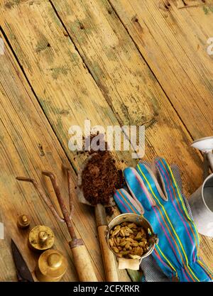 Gardening tools on wood with copy space Stock Photo