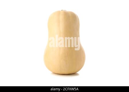 Fresh butternut squash isolated on white background Stock Photo