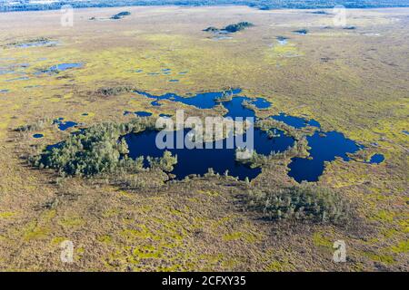 Aerial view over peat-bog landscape with lake and pool patterns. Stock Photo