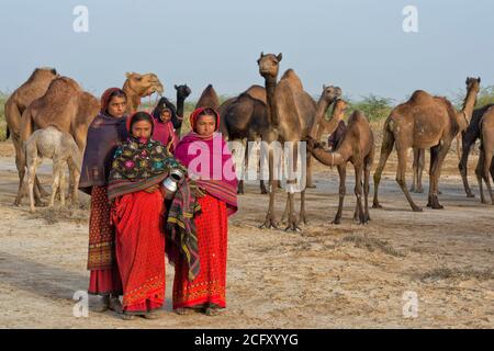 Fakirani women in traditional colorful clothes walking in the