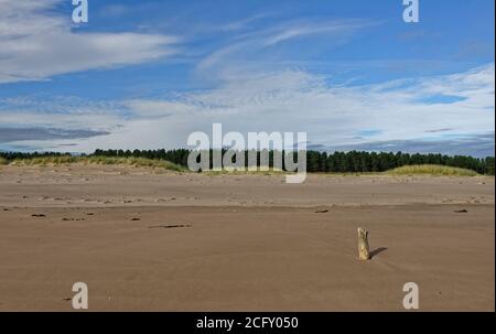 Tentsmuir Point at Low tide with a small wooden weathered marker on the foreshore of the wide sandy beach, with large tidal pools in the background. Stock Photo