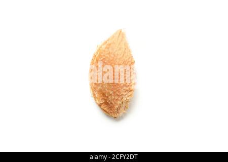 One plum stone isolated on white background Stock Photo