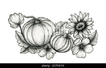 fall floral line art with pumpkins, sunflower and leaves, ink hand drawn autumn botanical decoration, vintage autumnal design for thanksgiving Stock Photo