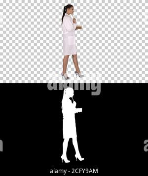 Successful medical doctors making notes while walking, Alpha Channel Stock Photo