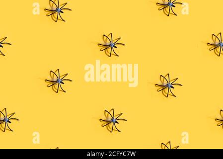 Seamless pattern with black spider on orange background, Halloween party Stock Photo