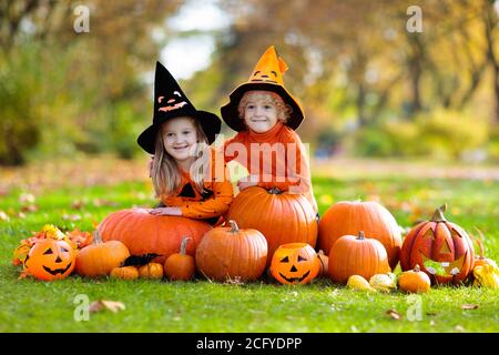 Kids trick or treat on Halloween. Children in black and orange witch costume and hat play with pumpkin and spider in autumn park. Dressed up boy and g Stock Photo
