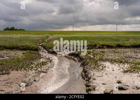 beatiful landscape at the wadden sea with grass and water trickles at north sea, germany Stock Photo