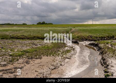 beatiful landscape at the wadden sea with grass and water trickles at north sea, germany Stock Photo