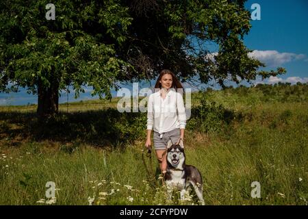 Beautiful fashionable young woman in denim shorts and a white blouse posing in the park with a husky. Fashion summer photo. Bright colors. Nice view Stock Photo