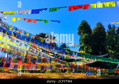 Colorful Tibetan prayer flags against early morning sun rays looking beautiful with the landscape in Sikkim India Stock Photo