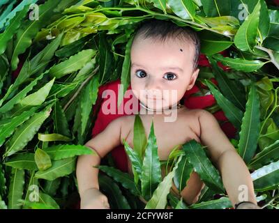 infant playing with leafs and showing his cute facial expression close up shot Stock Photo