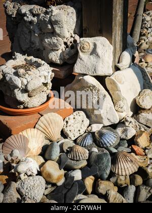 Closeup of various stones and shells lying on the ground in a garden Stock Photo