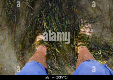 Waves and seaweed wash around feet on the sandy beach Stock Photo