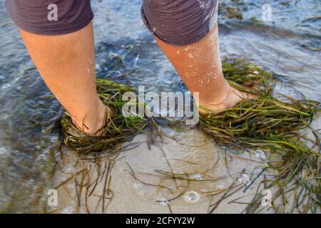 Waves and seaweed wash around feet on the sandy beach Stock Photo