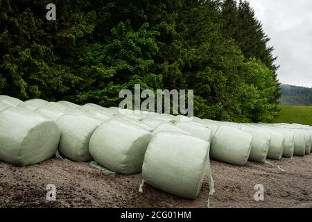 Haylage bales on a cloudy day in late spring (Austrian Alps) Stock Photo