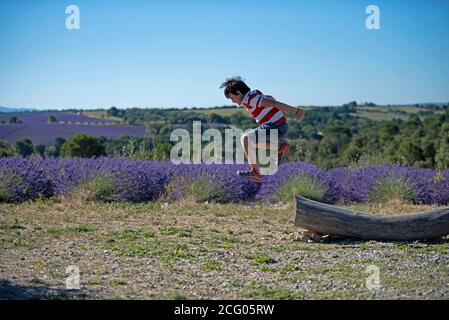 Boy jumping by lavender's fields Stock Photo
