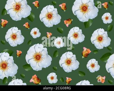 Seamless pattern with white flowers on green background Stock Photo