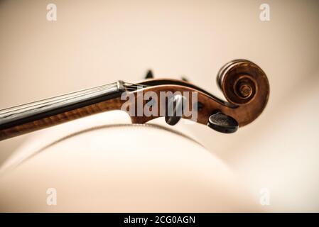 A close up of a violin on a white background Stock Photo
