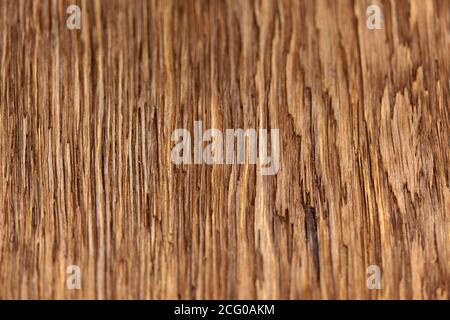 surface stained oak board as a background for creativity Stock Photo