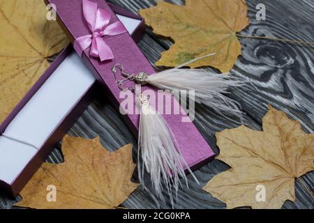 Ostrich feather brush earrings and a case for them. Nearby are dried maple leaves. They lie on pine boards painted in black and white. Autumn gifts fo Stock Photo