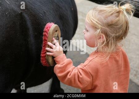 Little girl pony riding at a stables, France