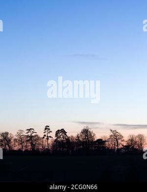 Line of trees  on horizon in English countryside landscape at sunset in winter.  Buckinghamshire, UK Stock Photo