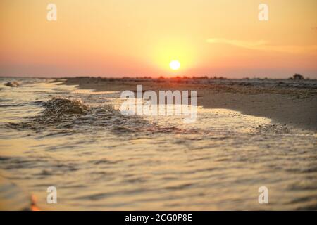 rays of the sun in the evening are reflected in the foam of the sea wave on the coast Stock Photo