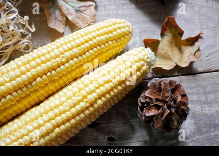 Ripe corn grains. macro. Corn on the cob, the food is ripe, juicy, delicious corn. Fresh young sweet corn on the cob, close-up. Fresh corn on a rustic Stock Photo