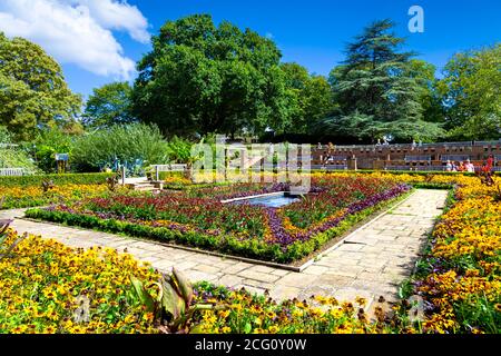 Dye Garden - sunken gardens in the summer at the Horniman Museum, London, UK Stock Photo