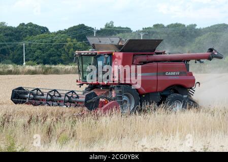 Combine harvester cutting wheat. Hayling Island, Hampshire UK Stock Photo