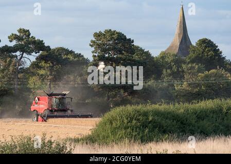 Combine harvester cutting wheat. Hayling Island, Hampshire UK Stock Photo