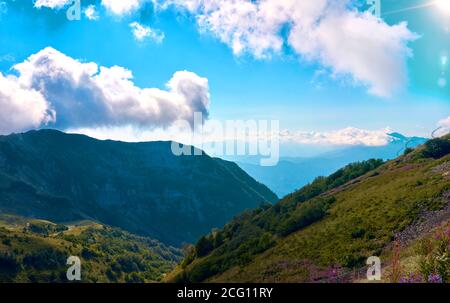 Relict forest on the slopes of the oldest mountain range of the island of Tenerife. Giant Laurels and Tree Heather along narrow winding paths. Paradis Stock Photo