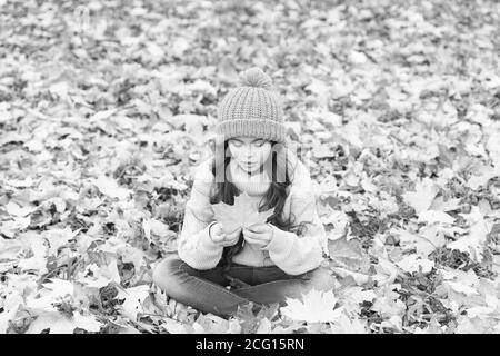 The color is vibrant. Little child hold maple leaf. Adorable little baby play with yellow foliage. Cute little kid sit on fall leaves. Little girl in autumn fashion style outdoor. Stock Photo