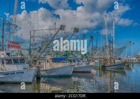 Shrimp boats in Pass Christian Harbor, Mississippi Gulf Coast, USA Stock Photo