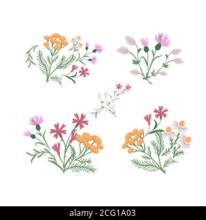 Decorative simple wild flowers collection Stock Vector